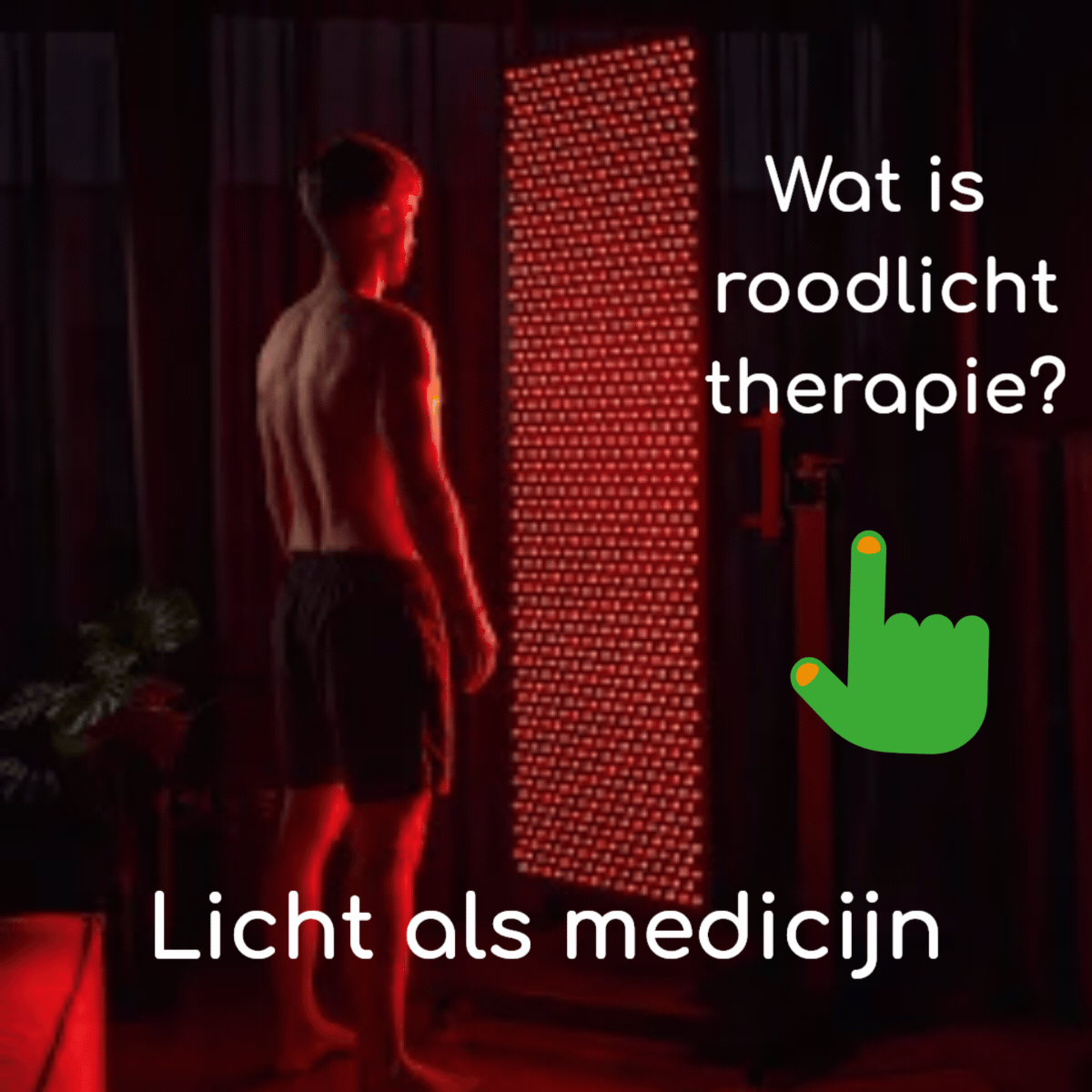 roodlichttherapie bij BinnensteBuiten Delft